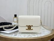 Bagsaaa Celine Teen Triomphe Bag In Shiny Calfskin Vanilla - 18.5 X 13.5 X 7 CM - 1