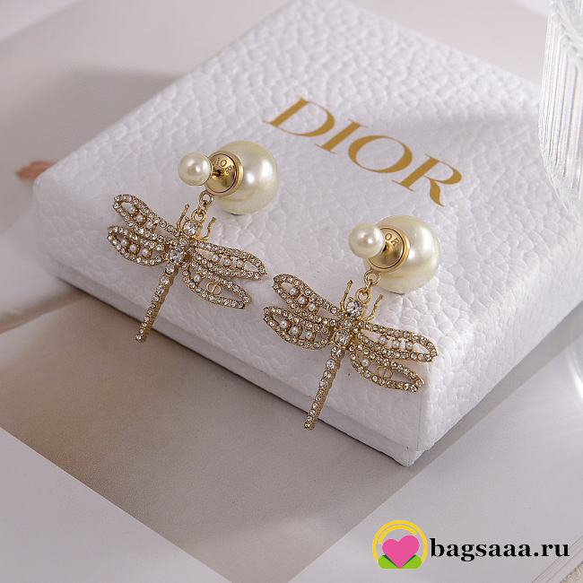 Bagsaaa Dior Earrings 04 - 1