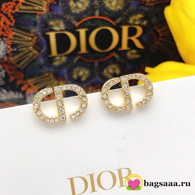 Bagsaaa Dior Earrings 05 - 1