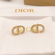 Bagsaaa Dior Earrings 05 - 4