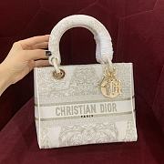 Bagsaaa Dior Lady D-Lite White Gold Canvas Around The World - 24cm - 1