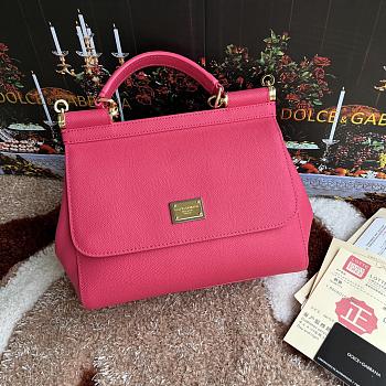 Bagsaaa Dolce&Gabbana Pink Sicily Handbag - 25x20X12cm