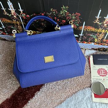 Bagsaaa Dolce&Gabbana Blue Sicily Handbag - 25x20X12cm