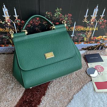 Bagsaaa Dolce&Gabbana Green Sicily Handbag - 25x20X12cm