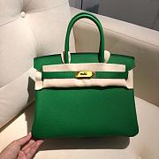 Bagsaaa Hermes Birkin Green Togo & Gold Hardware - 25cm - 1