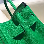 Bagsaaa Hermes Birkin Green Togo & Gold Hardware - 25cm - 4