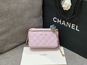 Bagsaaa Chanel Pink Vanity Case Adjustable Chain Strap AP3940 - 17cm - 1