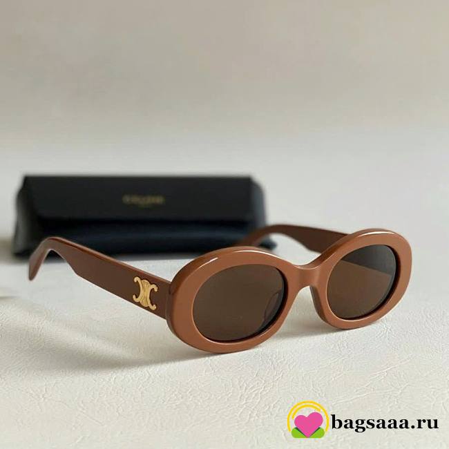 Bagsaaa Celine Triomphe 01 Sunglasses In Acetate Brown - 1