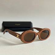 Bagsaaa Celine Triomphe 01 Sunglasses In Acetate Brown - 1