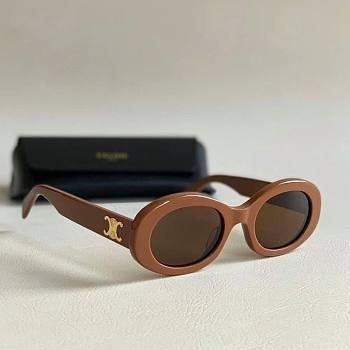 Bagsaaa Celine Triomphe 01 Sunglasses In Acetate Brown