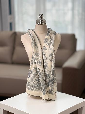 Bagsaaa Dior Scarf 03 - 60x200 cm