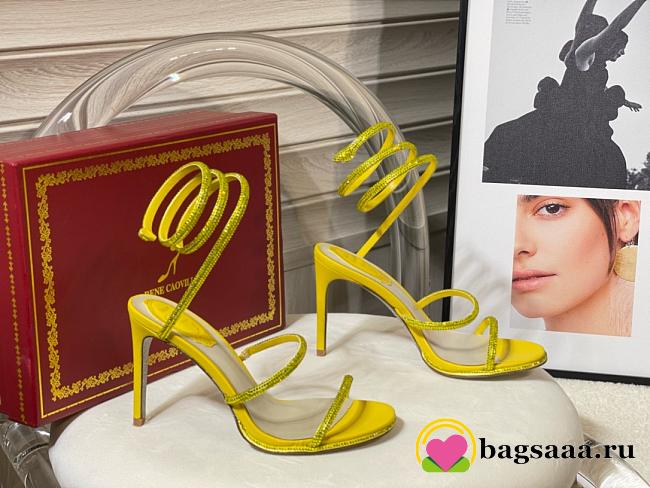 Bagsaaa Rene Caovilla Heels 01 - 1