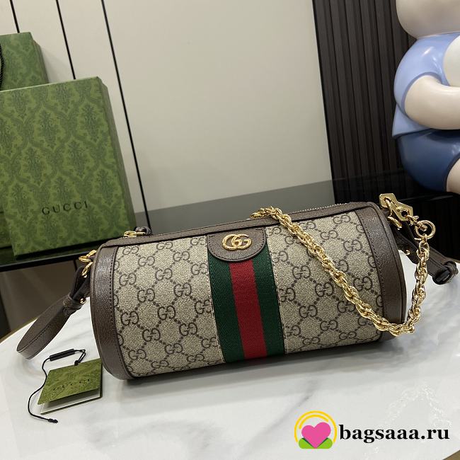 Bagsaaa Gucci Ophidia small shoulder bag‎ 795194 beige & ebony - 24x12x12cm - 1