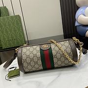 Bagsaaa Gucci Ophidia small shoulder bag‎ 795194 beige & ebony - 24x12x12cm - 1