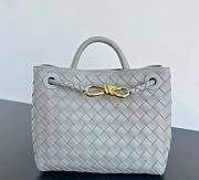 Bagsaaa Bottega Veneta Small Andiamo 766014 Gray - 20x25x10 cm - 1