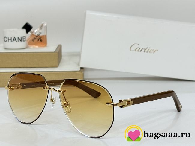 Bagsaaa Cartier Glasses 02 - 1