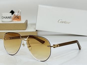 Bagsaaa Cartier Glasses 02