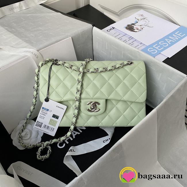 Bagsaaa Chanel Flap Bag Light Green Lambskin & Silver Hardware - 23cm - 1