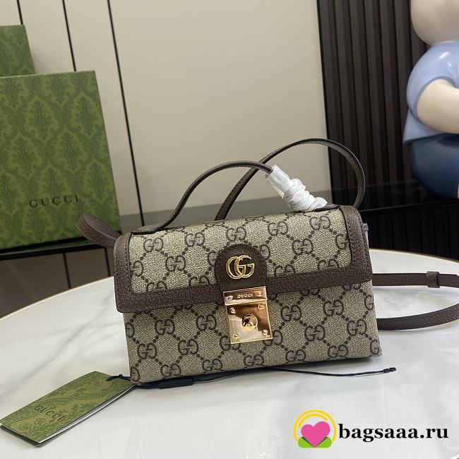 Bagsaaa Gucci Ophidia mini bag 772314 - 18x11x5cm - 1