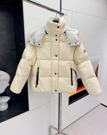 Bagsaaa Moncler Panara Puffer Jacket Beige & Gray