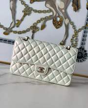 Bagsaaa Chanel Flap Bag Iridescent White & Light Gold Hardware - 25cm - 1