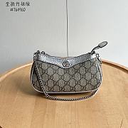 Bagsaaa Gucci Ophidia mini bag 764960 beige & silver - 19cm - 1