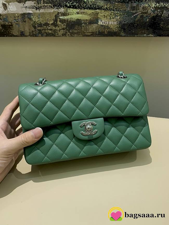 Bagsaaa Chanel Flap Bag Green & Silver Hardware - 23m - 1