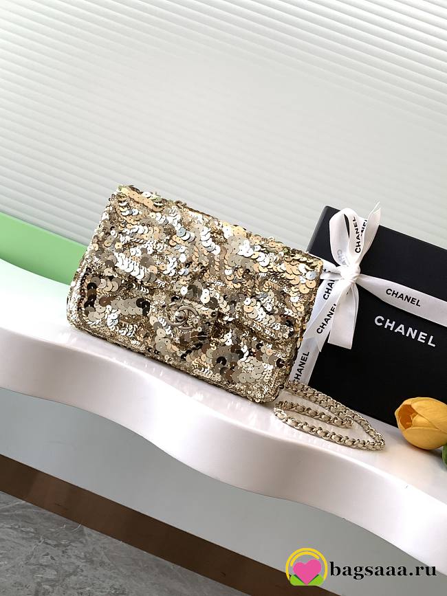 Bagsaaa Chanel Flap Bag  Sequins & Gold-Tone Metal AS4561 - 14 × 21 × 8 cm - 1