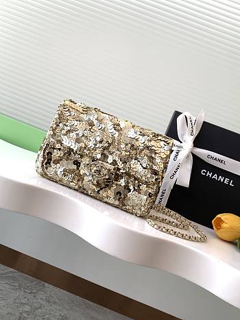 Bagsaaa Chanel Flap Bag  Sequins & Gold-Tone Metal AS4561 - 14 × 21 × 8 cm