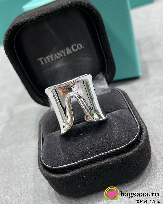 Bagsaaa Tiffany & Co Elsa Peretti Split Ring in Sterling Silver - 1