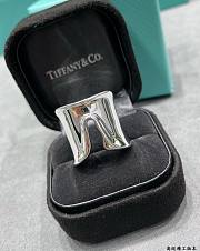 Bagsaaa Tiffany & Co Elsa Peretti Split Ring in Sterling Silver - 1