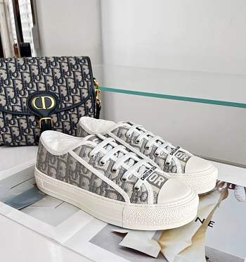 Bagsaaa Walk'n'Dior Sneaker Stone Gray Dior Oblique Embroidered Cotton