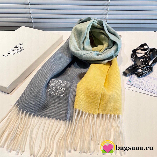 Bagsaaa Loewe Scarf 35x190cm - 1