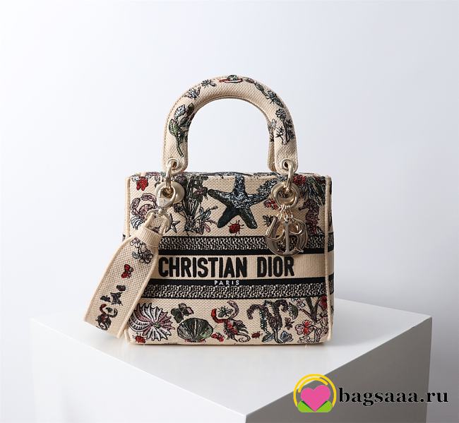 Bagsaaa Medium Lady D-Lite Bag Beige Raffia with Multicolor Dior Cabinet de Curiosités Embroidery - 24cm - 1