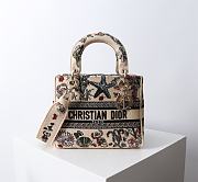 Bagsaaa Medium Lady D-Lite Bag Beige Raffia with Multicolor Dior Cabinet de Curiosités Embroidery - 24cm - 1