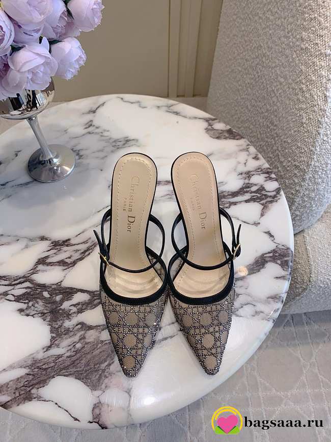 Bagsaaa Dior Capture Heeled Mule Transparent Mesh with Silver-Tone Strass Cannage Motif and Black Suede Goatskin - 1