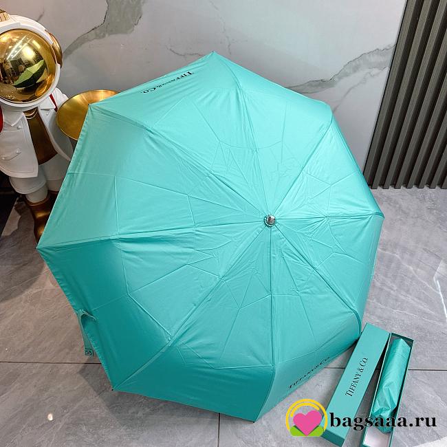 Bagsaaa Tiffany & Co Umbrella - 1