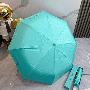Bagsaaa Tiffany & Co Umbrella