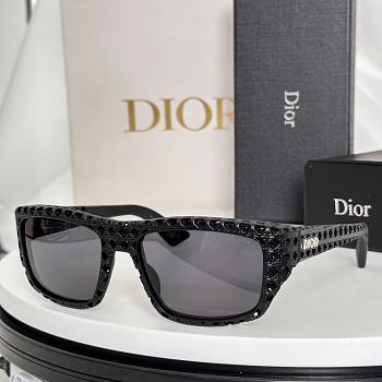 Bagsaaa Dior Sunglasses 10