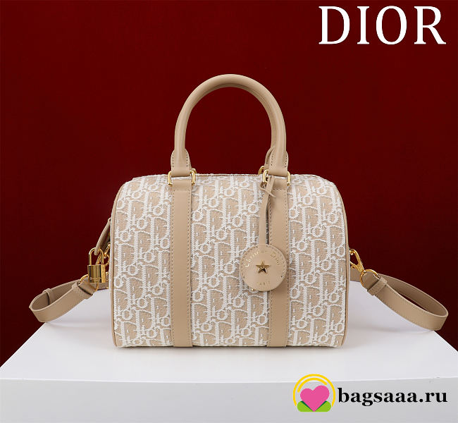 Bagsaaa Dior Groove 25 Bag Natural Dior Oblique Jacquard - 25cm - 1