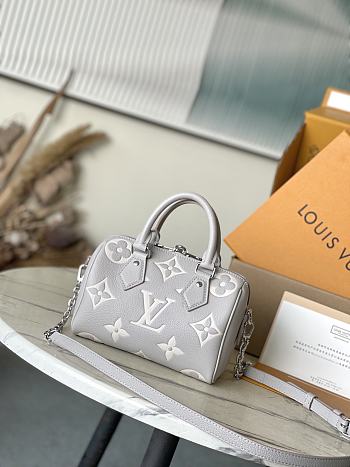 Bagsaaa LV M14207 Speedy Bandoulière 20 Gray/Quartz - 20.5cm