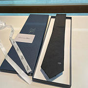 Bagsaaa Dior Tie - 4