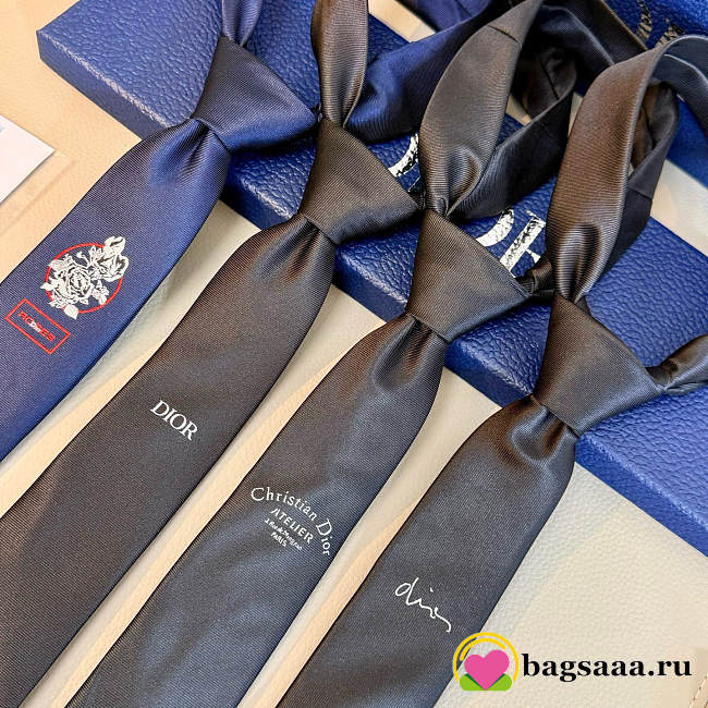 Bagsaaa Dior Tie 01 - 1