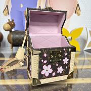 Bagsaaa M14173 LV x TM Camera Box Sakura Brown - 21.5cm - 4