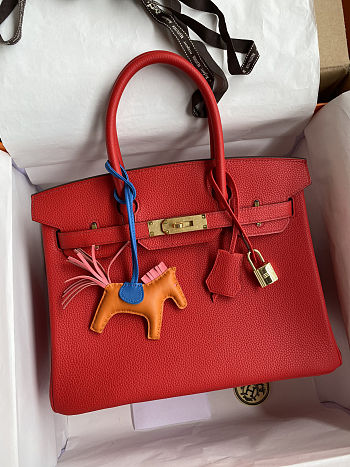 Bagsaaa Hermes Birkin 30 Togo Leather Red