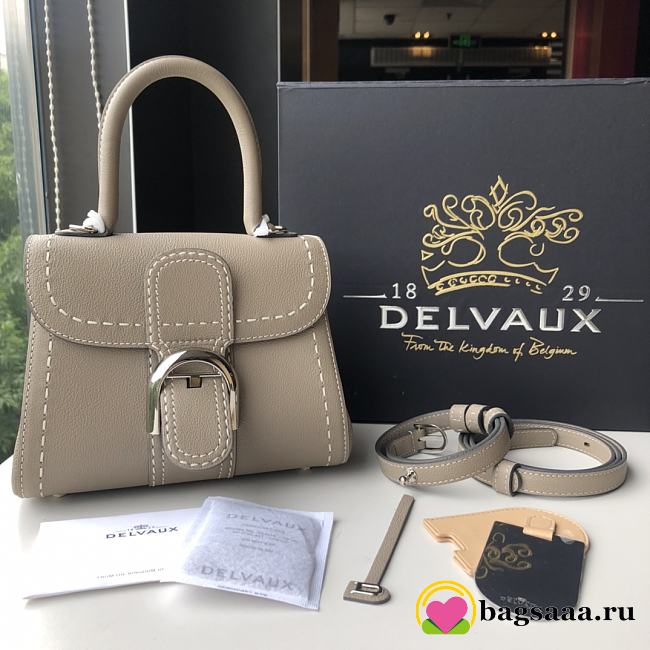 Bagsaaa Delvaux Brillant Mini Surpiqué Gray - 20cm - 1