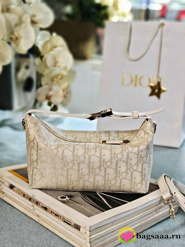 Bagsaaa Medium DiorTravel Nomad Pouch Gold-Tone Dior Oblique Jacquard - 22cm - 1