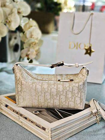 Bagsaaa Medium DiorTravel Nomad Pouch Gold-Tone Dior Oblique Jacquard - 22cm