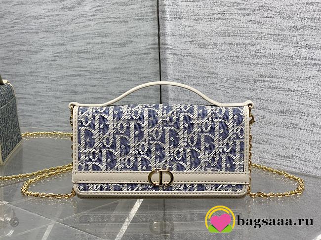 Bagsaaa Dior 30 Montaigne Cigale Pouch with Chain Blue Dior Oblique Chambray with Raffia Effect - 21cm - 1