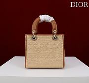 Bagsaaa Dior Small Lady Dior My ABCDior Bag Natural Cannage Raffia - 20cm - 4